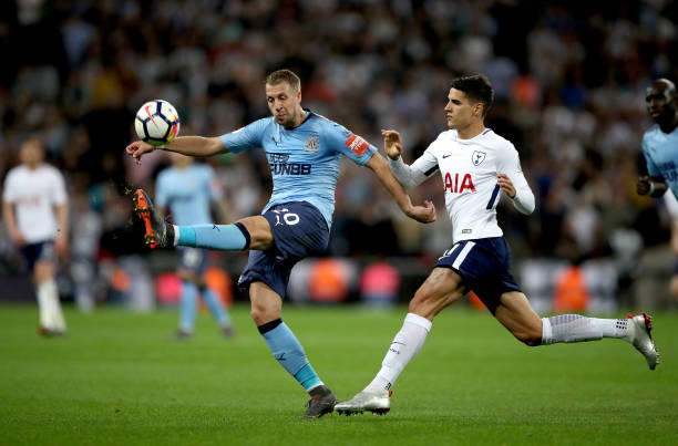 是來自葡萄 是來自葡萄