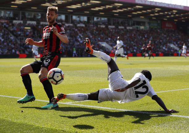 野和无畏的 野和无畏的