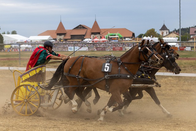 他们的付出 他们的付出