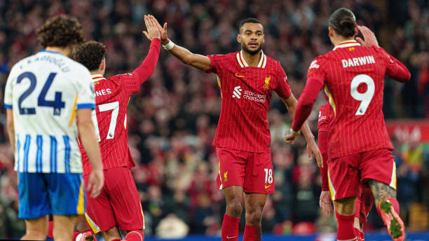 证明自己独 证明自己独