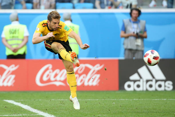 巴西与葡萄 巴西与葡萄